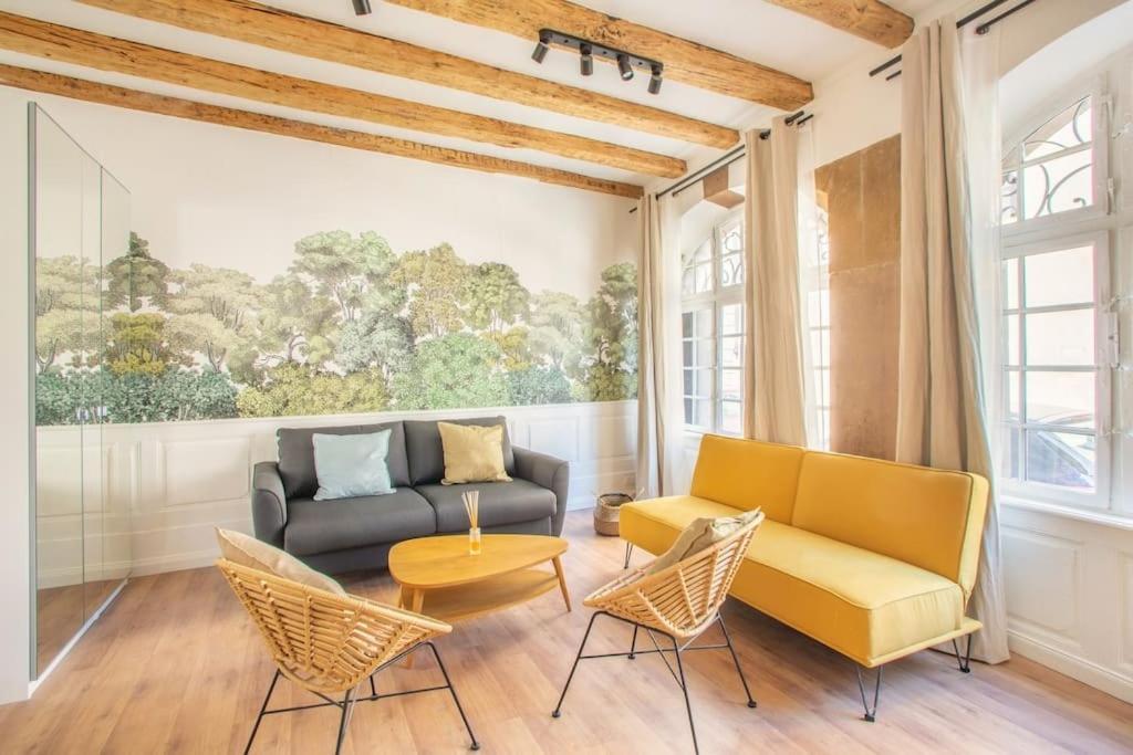 La Halte Strasbourgeoise - Superbe Appt Pres De La Petite France Apartment Exterior photo